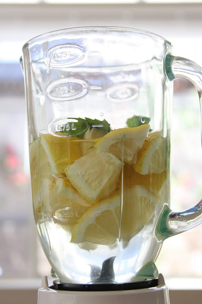 Lemons in water for Vodka Honey Lemonade