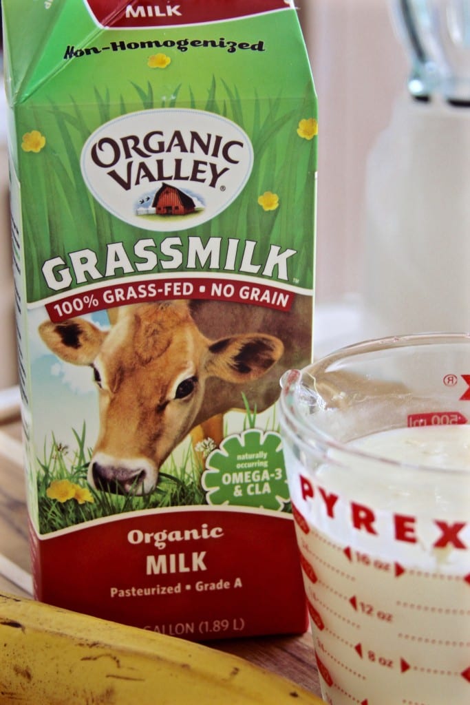 Grass-fed Milk for Creamy Banana Chocolate Pudding