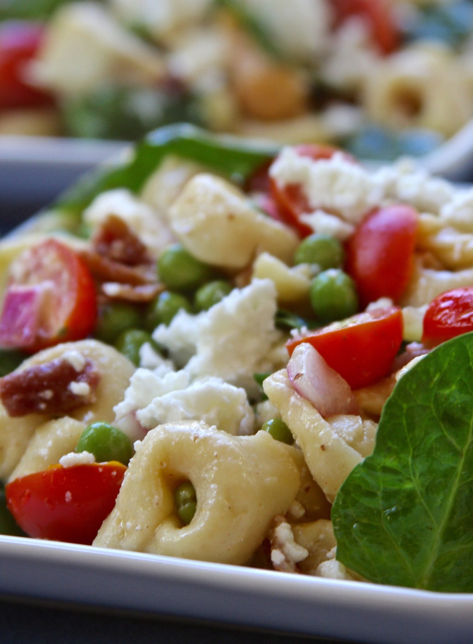 Bacon Belly Button Pasta Salad