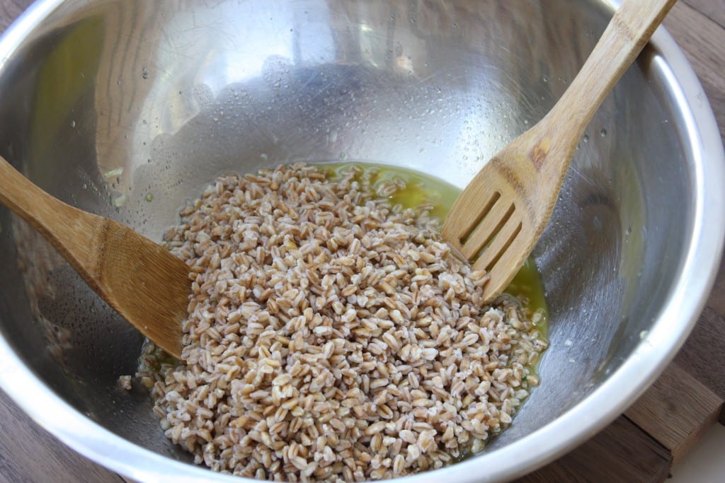 Farro in vinaigrette Rocket Your Mind Salad