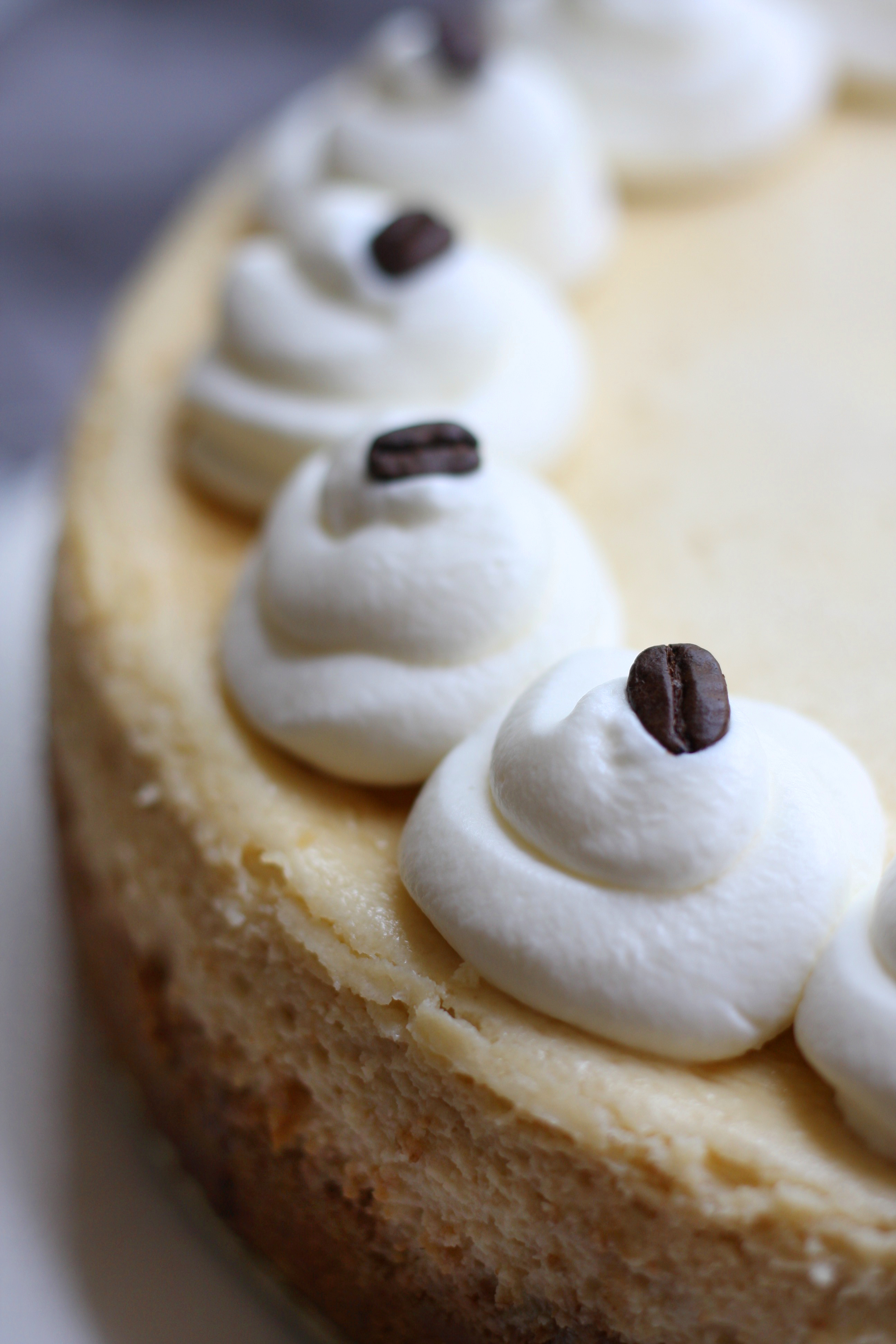 Caramel Macchiato Cheesecake The Fed Up Foodie