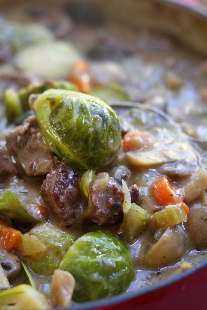 Beef and Brussels Sprouts Stew is a hearty and healthy winter meal. High in fiber and low on the glycemic index, this recipe is perfect for the diabetic to the winter weight watcher but tastes so good everyone gobble it up.