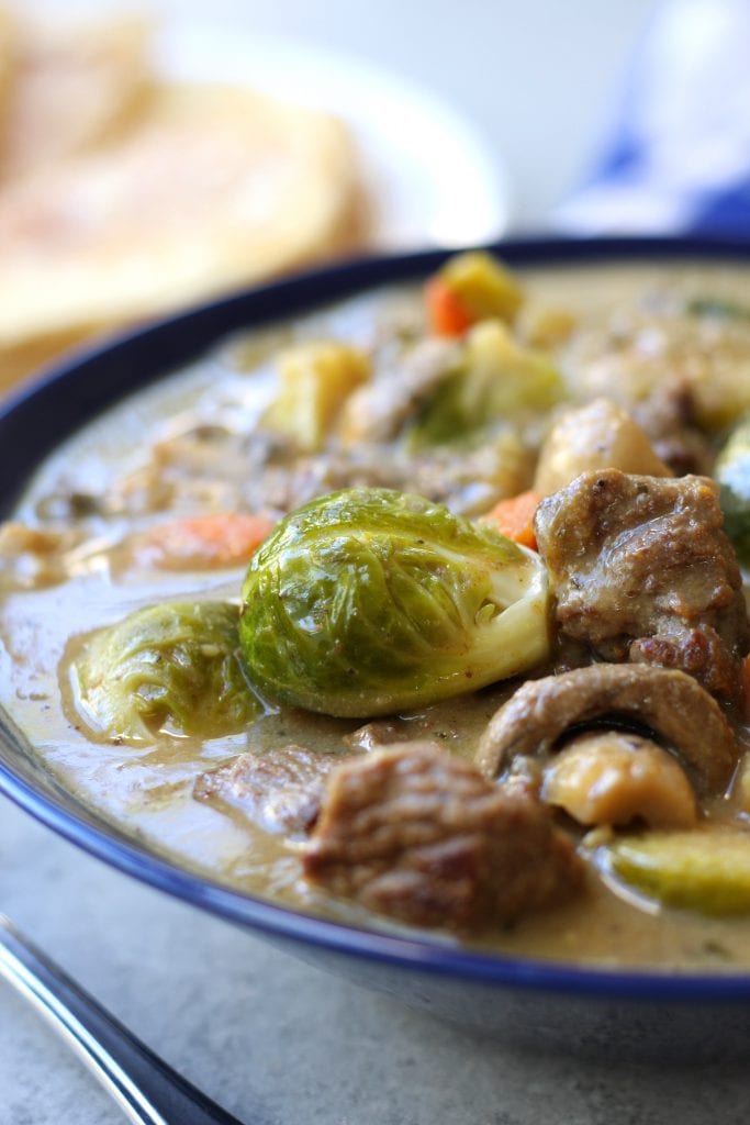Beef and Brussels Sprouts Stew is a hearty and healthy winter meal. High in fiber, low on the glycemic index and gluten-free, this recipe is perfect for the diabetic to the winter weight watcher but tastes so good everyone will gobble it up.