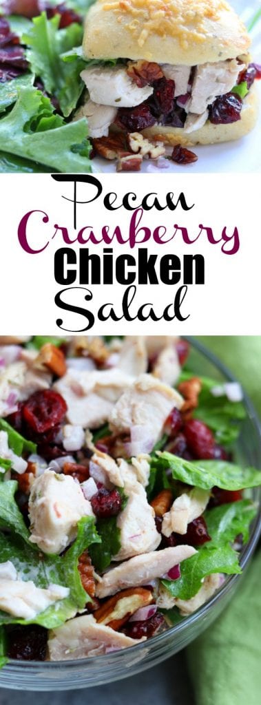 Pecan Cranberry Chicken Salad recipe makes the best light and tasty lunch nestled in your favorite bread. Sweet, creamy and savory, you will feel like you just had lunch at a sidewalk cafe. https://www.thefedupfoodie.com