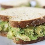 Mexican Chicken Avocado Sandwich