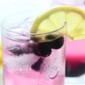 Blueberry Cocktail Recipe