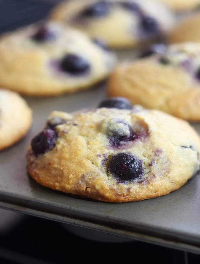 Blueberry Oatmeal Yogurt Muffins