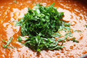 Julienned Basil for Tomato Basil Soup