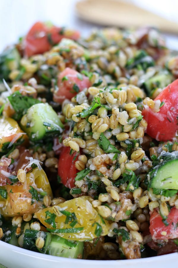 Barley Salad with heirloom tomatoes and cucumber pieces.