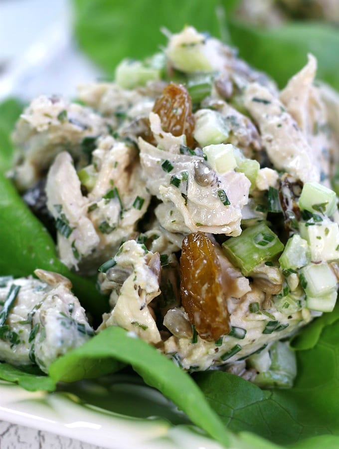 Tarragon Chicken Salad with golden raisins on a butter lettuce leaf.