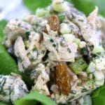 Up close photo of Tarragon Chicken Salad Recipe.