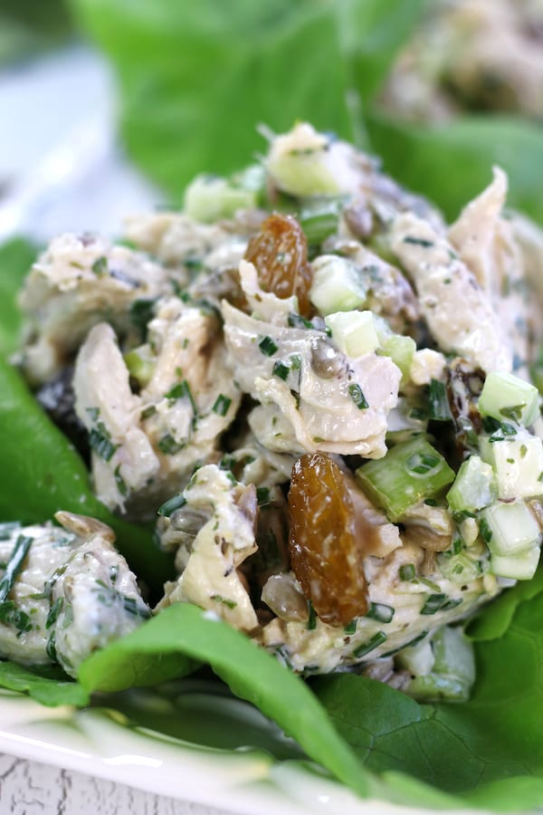 Up close photo of Tarragon Chicken Salad Recipe.