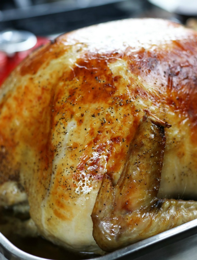 Roasted turkey after being brined in the Best Turkey Brine.