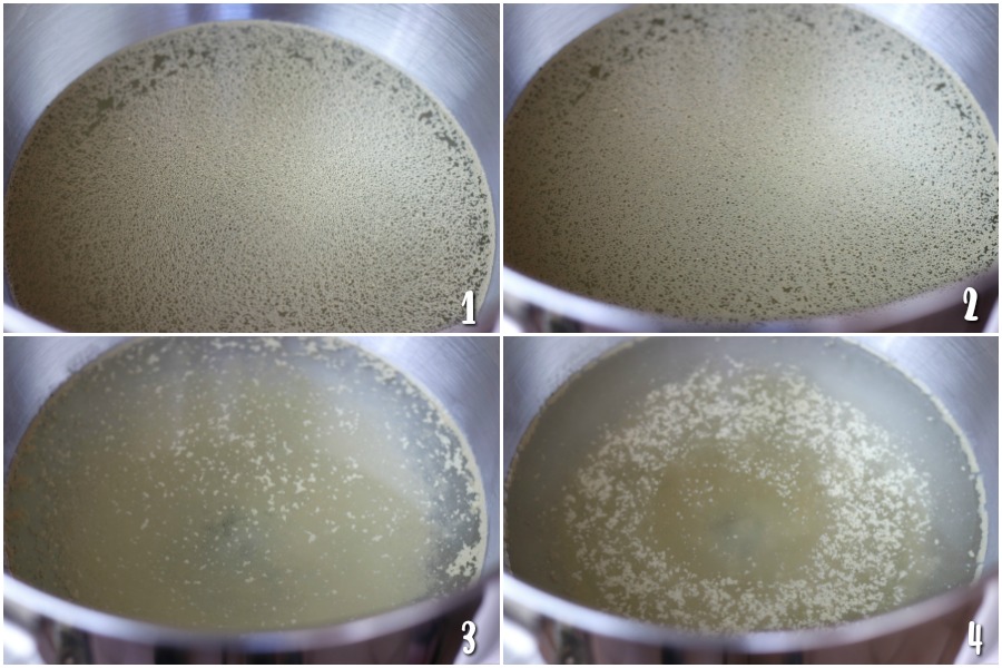 Steps involved in Testing of Yeast.