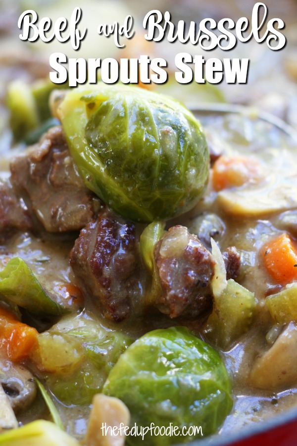 Beef and Brussels Sprouts Stew is a hearty and healthy winter meal. High in fiber, low on the glycemic index and gluten-free, this recipe is perfect for the diabetic or the winter weight watcher but tastes so good everyone will gobble it up.
#LowCarbBeefStew #HealthyBeefStew #BestBeefStew #EasyBeefStew
https://www.thefedupfoodie.com