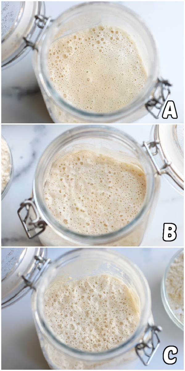 The different Stages of Sourdough Starter as it ferments.