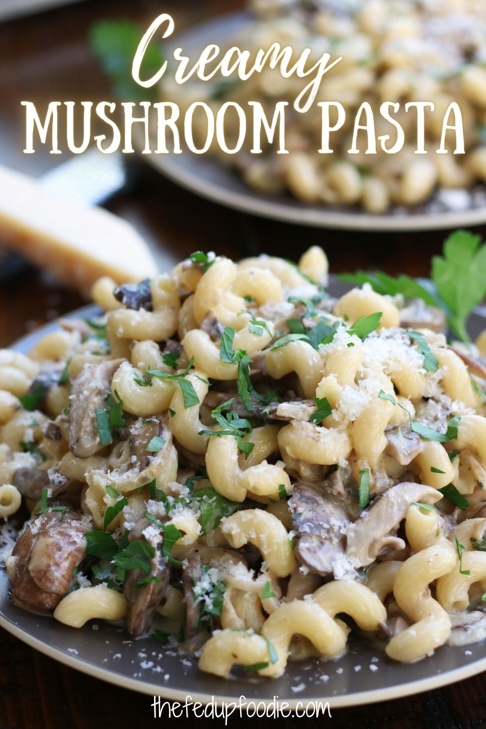 Creamy Mushroom Pasta is an easy and luxurious dinner with garlic, caramelized onion and lemon. With the perfect amount of creaminess, this pasta is great for special occasions and yet is simple enough for week nights.  
#CreamyMushroomPasta #CreamyMushroomSauce #CreamyMushroomPastaEasy #MushroomPasta #CarmalizedOnionAndMushroomPasta #CarmelizedOnionMushroomPasta #GarlicMushroomPasta