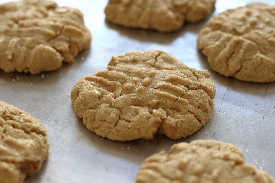 Soft Peanut Butter Cookies cooling on a cookie sheet.
