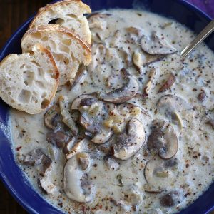 Mushroom Soup Served into a blur bowl and garnished with red chili pepper flakes.