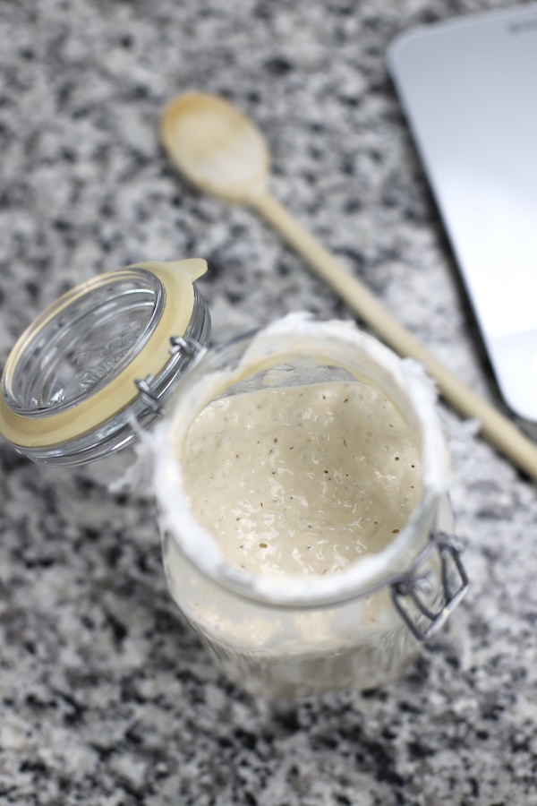 Overhead photo of healthy sourdough starter in the post explaining How To Keep a Sourdough Starter.