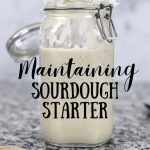 How to Maintain Sourdough Starter main image.
