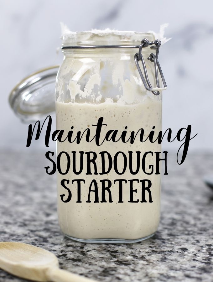 How to Maintain Sourdough Starter main image.